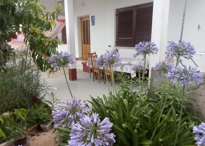 Comfort Apartment On The Beach